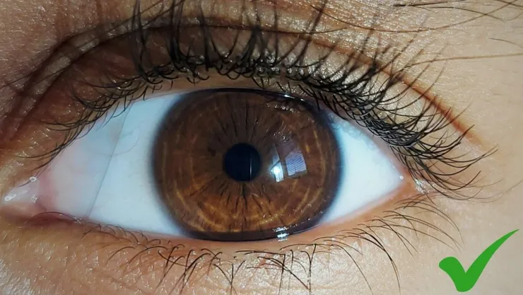 Cómo maquillar tus pestañas sin rímel para un look natural y saludable.jpg