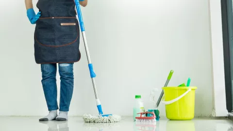 ¿Con qué trapear la casa para ahuyentar a insectos que hacen plaga?