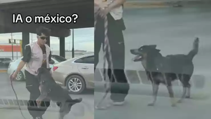 perrito