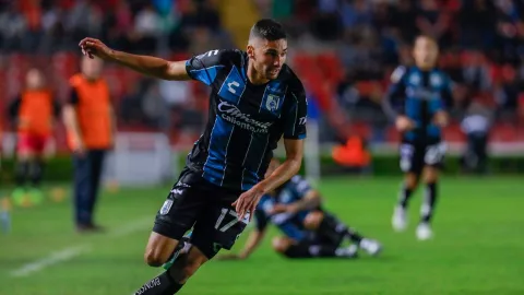 nuevos duenos de gallos blancos queretaro.jpg