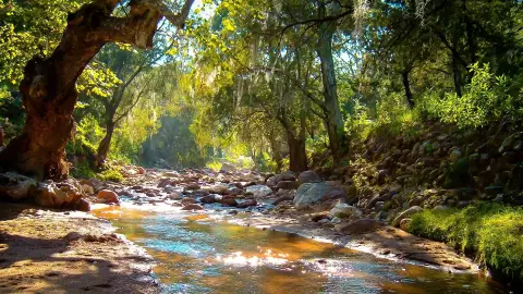 5 lugares para hacer ecoturismo en Guanajuato
