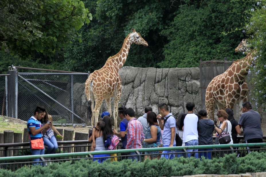 Zoológico de Chapultepec