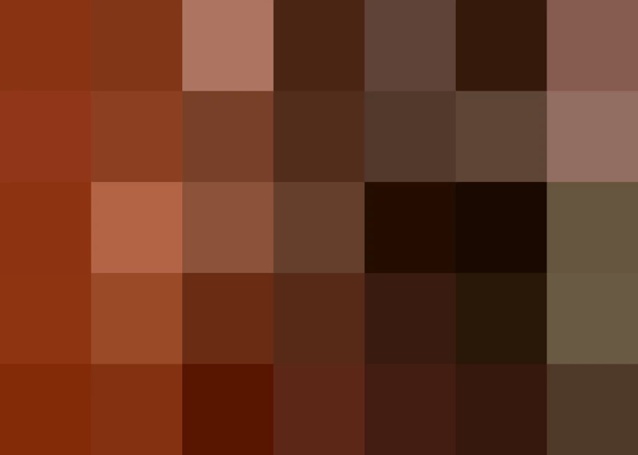 El presidente de la Comisión de Derechos Humanos capitalina, Luis González Placencia