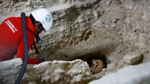 encuentran-tumbas-catedral-notre-dame