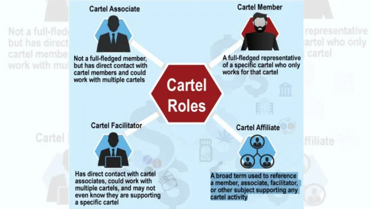 Los roles de los cárteles de la droga para lograr expansión en el mundo