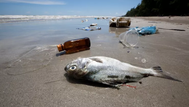 Cofepris alerta sobre seis playas no aptas para su uso recreativo.