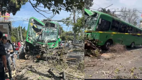 Accidente en Glorieta de Tránsito: camión y auto particular chocan en Guadalajara
