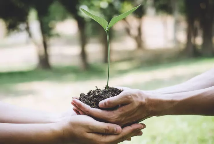 Día Mundial del Medio Ambiente