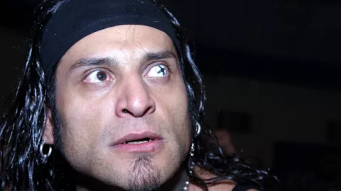 Cibern&eacute;tico Luchador 