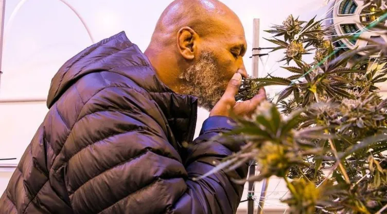 myke-tyson-cannabis-marihuana-tyson-ranch.jpg