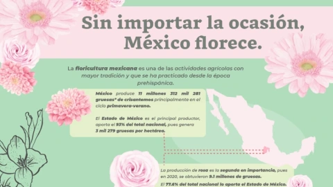 14 de febrero 2023 producción rosas