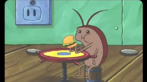 memes plaga de chinches