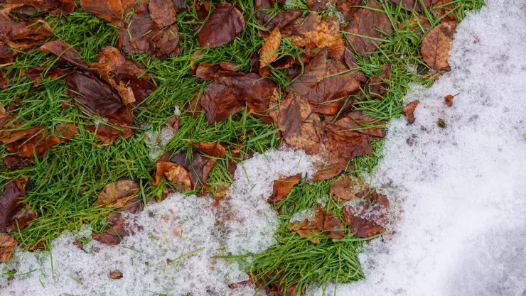 Frente frío 12 ¿Cuáles serán los estados con bajas temperaturas en México la primera semana de noviembre 2025