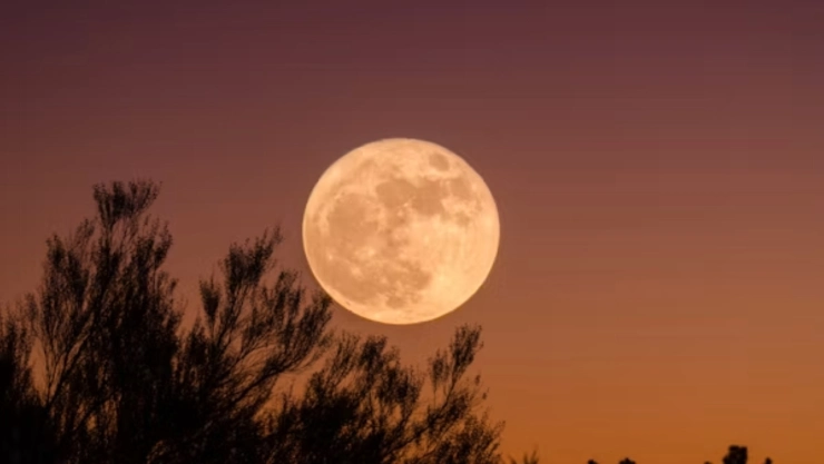 ¡Luna de Cosecha!