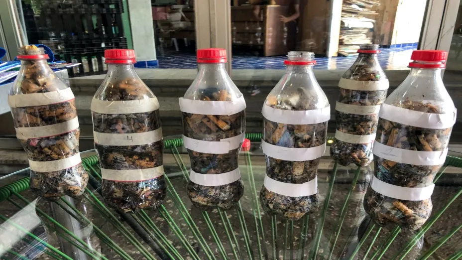 Retiran Sedema y Ecofilter 5 mil 500 colillas de cigarro_sedema.jpg