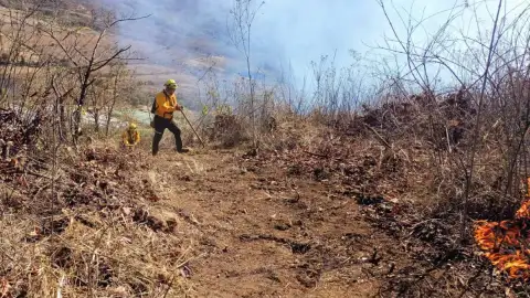 incendios veracruz.