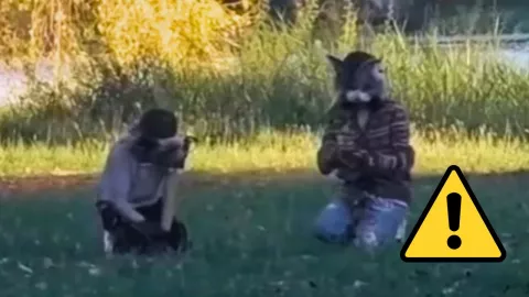 La tendencia therian ha generado conversación en calles y redes sociales