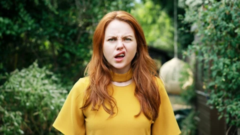 Cómo se escribe butaca o vutaca, según la RAE