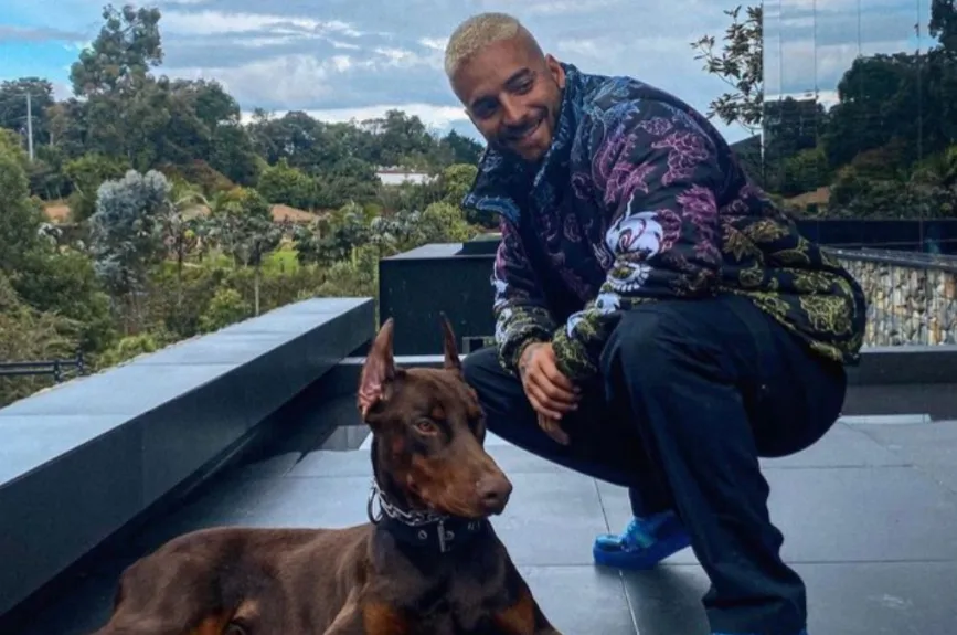 Maluma y su perro.jpg
