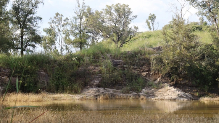 Areas naturales protegidas en el municipio de Zapopan.jpg