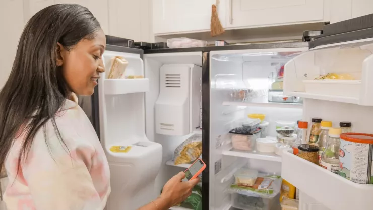 CFE te cambia tu refri por uno nuevo si cumples estos requisitos