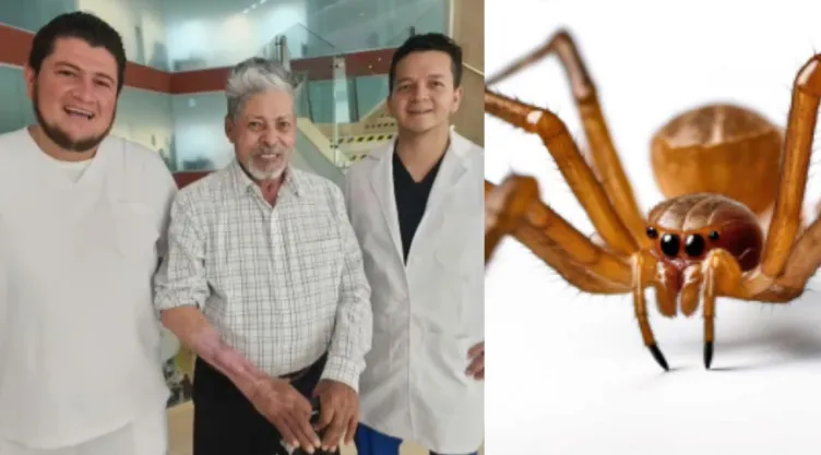 Doctores salvan brazo de abuelito por picadura de araña violinista en Aguascalientes
