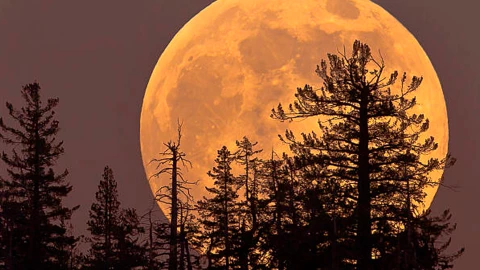 Superluna de octubre 2025: el fenómeno astronómico más brillante en 5 años