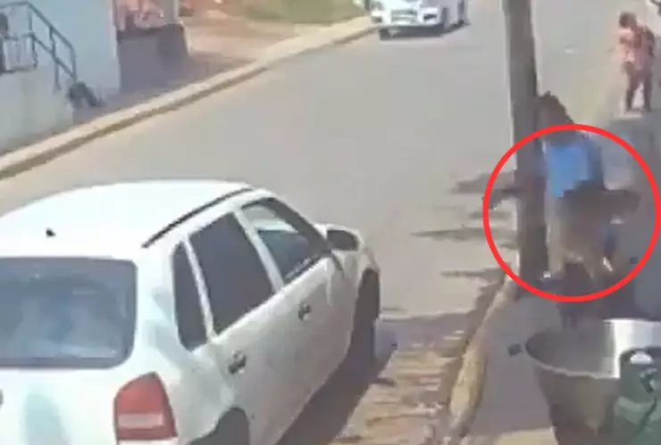 Perro muere en aceite