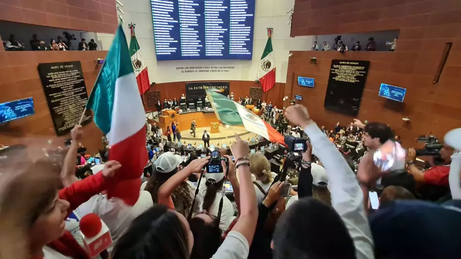 Manifestantes contra reforma Judicial entran al Senado.
