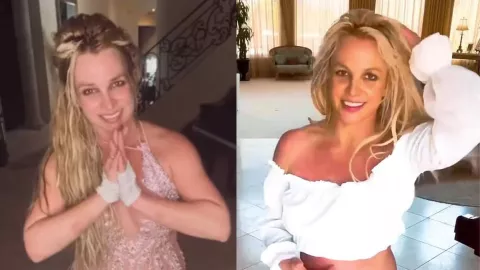 Britney Spears desaparece de redes