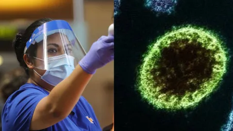 Virus Nipah
