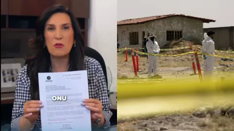 Comité Contra la Desaparición Forzada ONU.