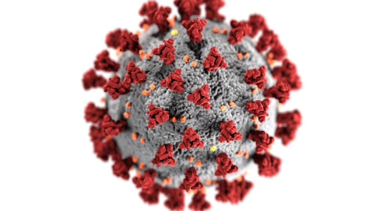 omicron oms covid-19.jp