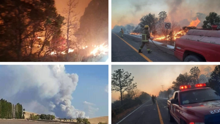 Chihuahua incendio pino encino