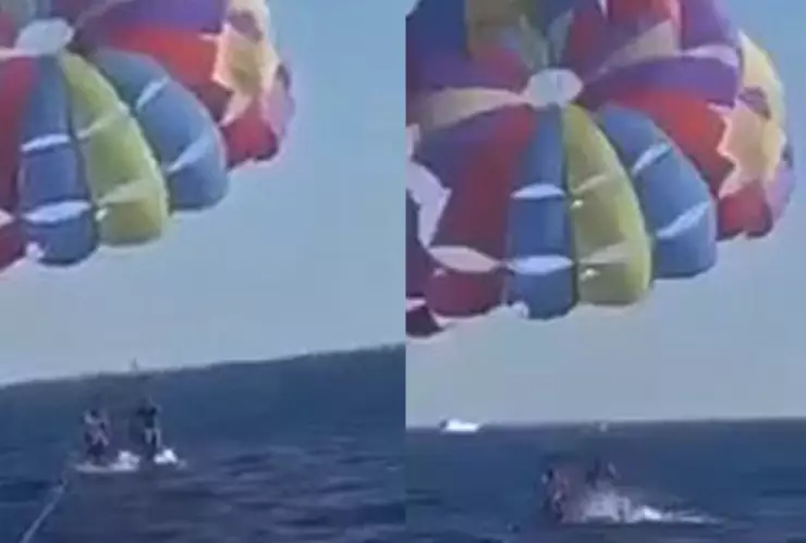 tiburón muerde paracaidista