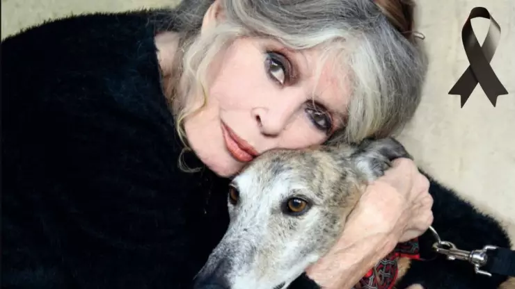 Cuál fue el último mensaje de Brigitte Bardot antes de su muerte.jpg