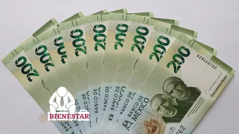 Programa Bienestar da 2 mil pesos a desempleados