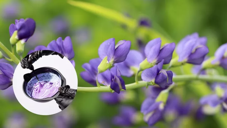 Tinte natural para cubrir las canas desde la raíz por más tiempo