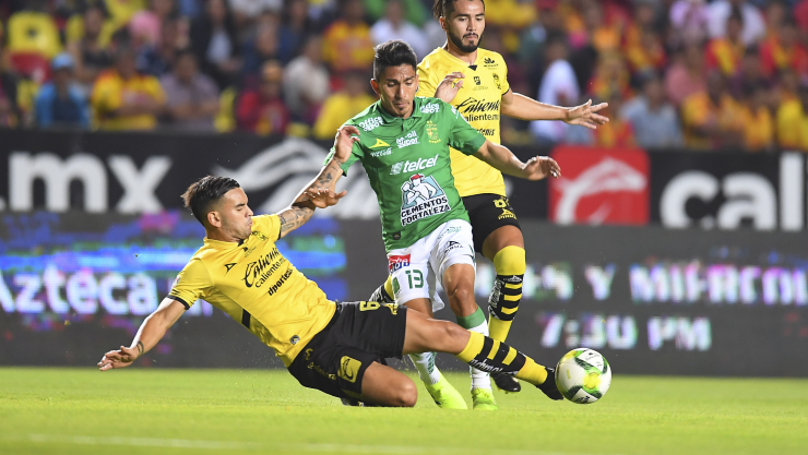 Monarcas León