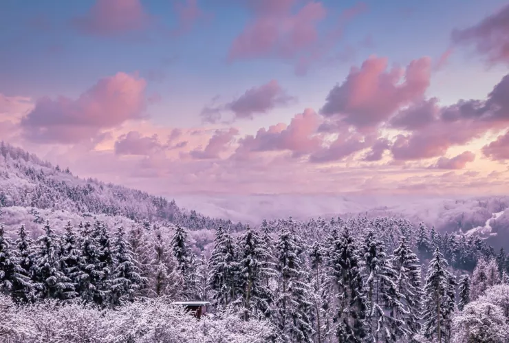 ¿Cuándo llega el aire ártico a México y cuáles estados tendrán caída de nieve los últimos días del 2025