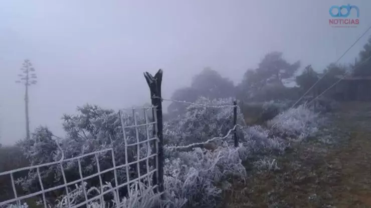 SEP suspende clases en Hidalgo por heladas