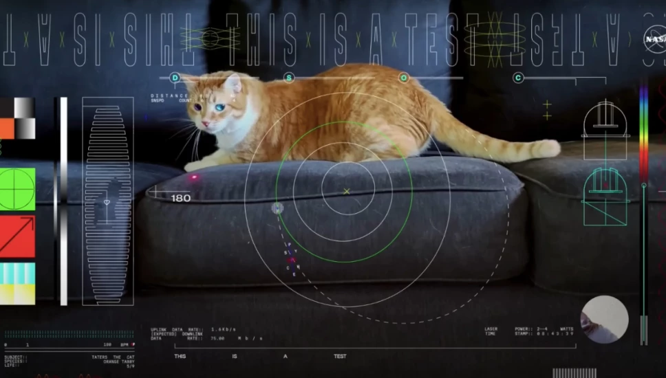 La NASA compartió el adorable video de un gatito