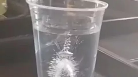 Familia asegura que captó a la Virgen de Guadalupe en un vaso de agua en Aguascalientes