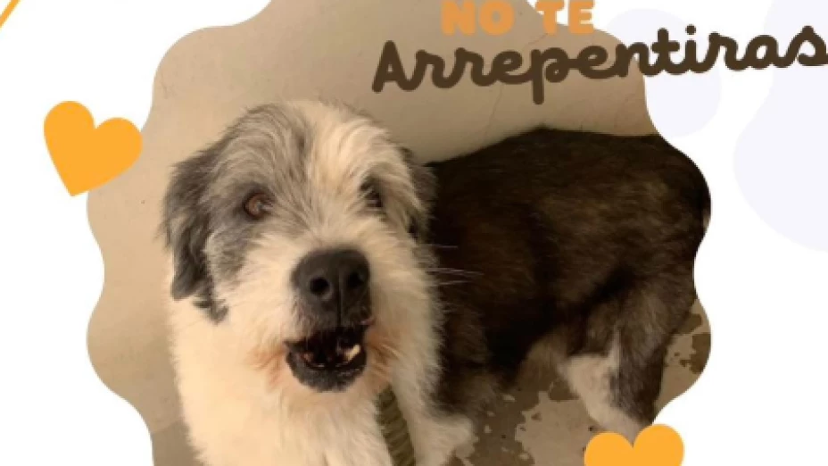 Captura de pantalla 2025-02-19 202057.png