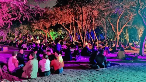 Picnic Nocturno 2025