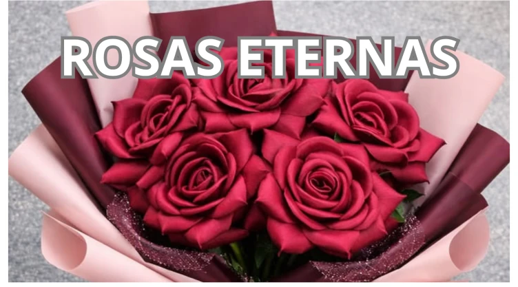 Rosas eternas