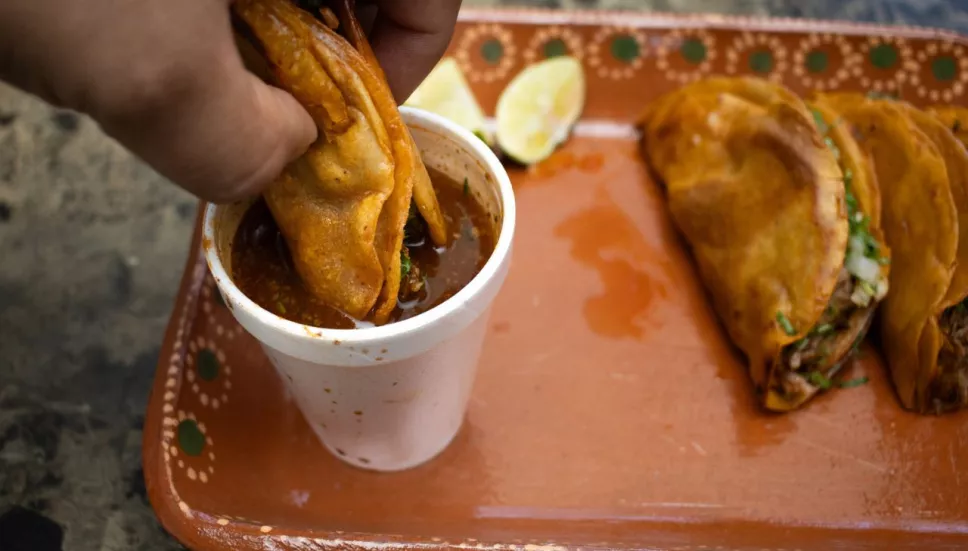 Donde esta y como llegar a birria del Zapote en CDMX