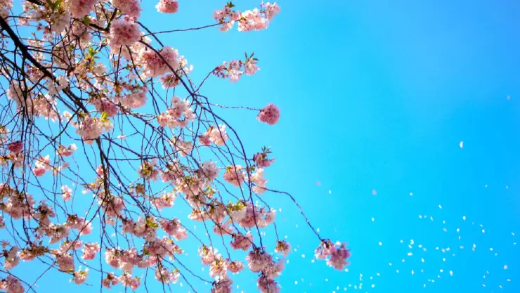 Equinoccio de primavera 2025