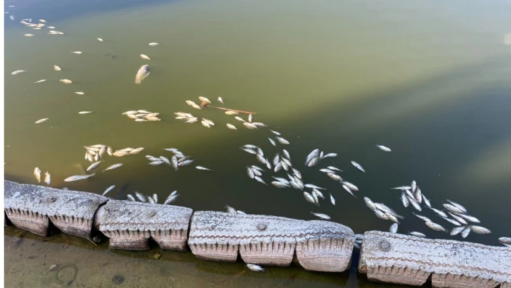 Lago Chapultepec