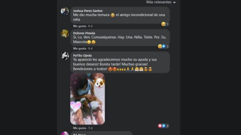 comentarios perrito perdido dibujo.jpg